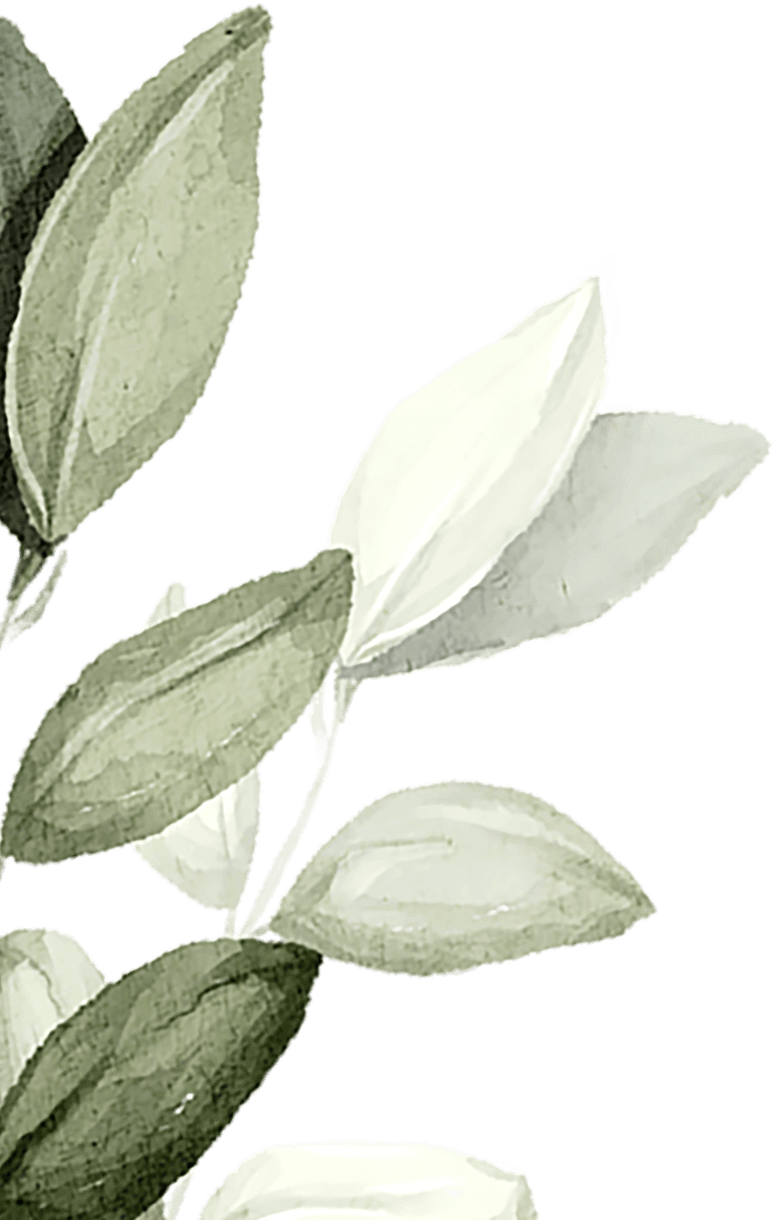 Delicate watercolor leaves in soft green and white hues. Delicate watercolor leaves in soft green and white hues.